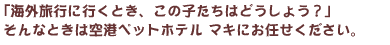 「海外旅行に行くとき、この子たちはどうしよう?」そんなときは空港ペットホテルマキにお任せください。